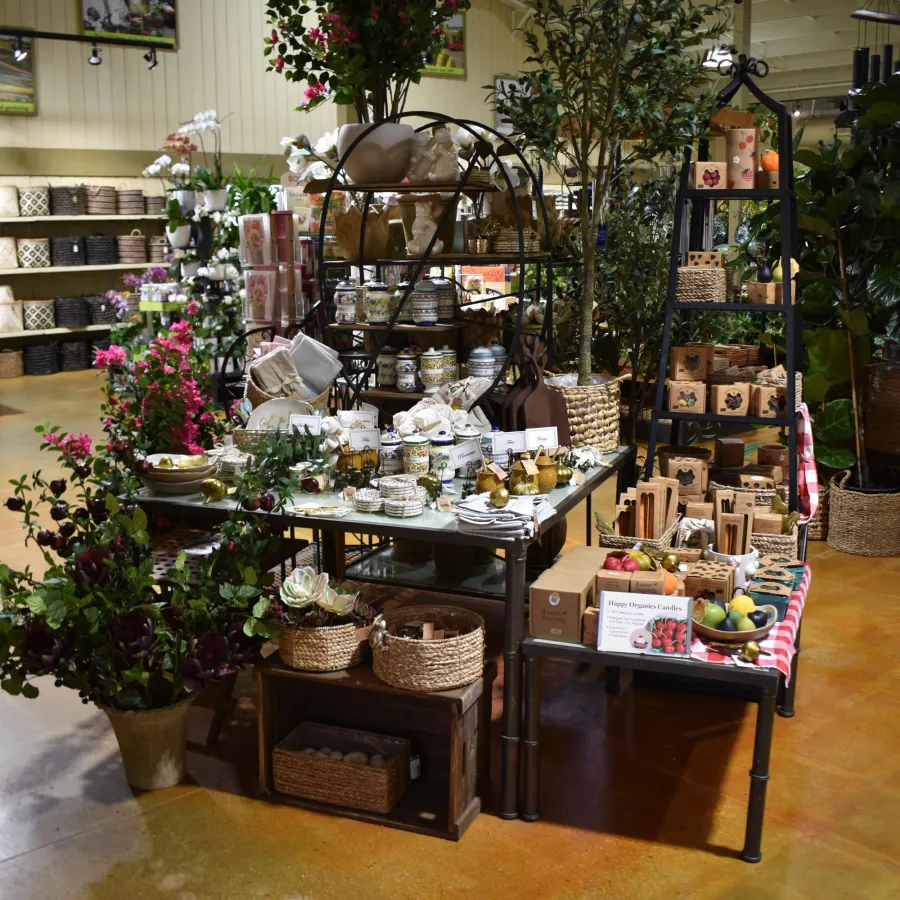 Indoor garden store display with plants, decorative pots, woven baskets, and home decor items on tables and shelves.