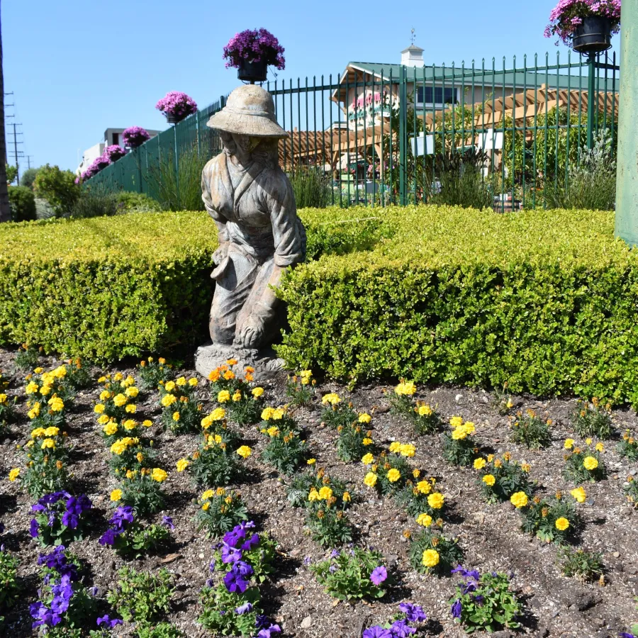 Statue of a gardener kneeling among yellow and purple flowers in a sunny garden with green hedges and flower pots.