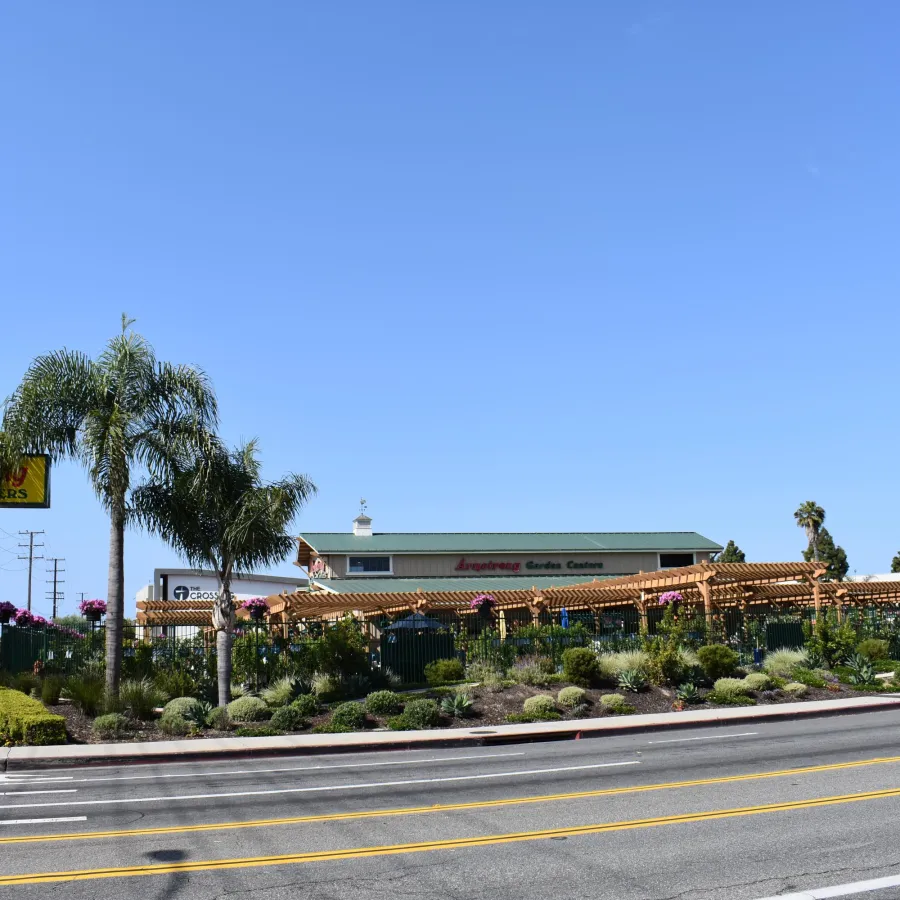 Armstrong Garden Center with palm trees and landscaping under clear blue sky beside a busy road.