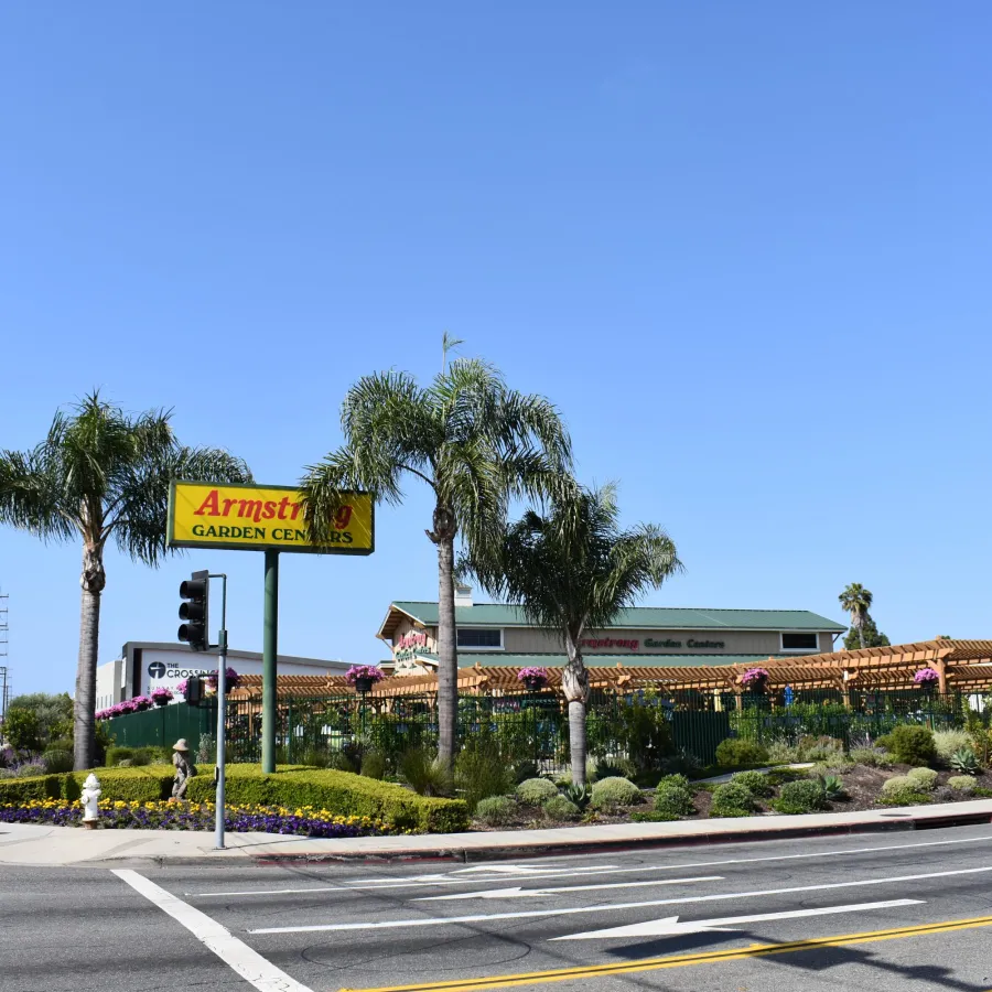 Armstrong Garden Center with palm trees and colorful flowers on a sunny day at a street intersection.