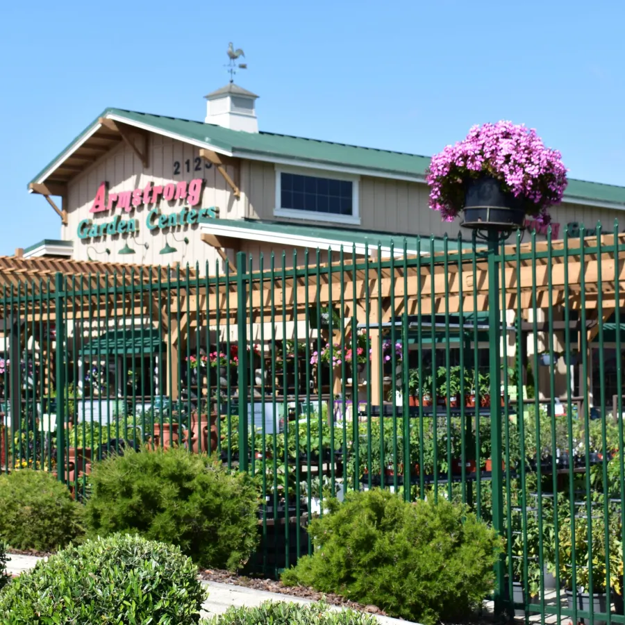 Armstrong Garden Center with green metal fence, hanging pink flowers, shrubs, and wooden pergola under blue sky