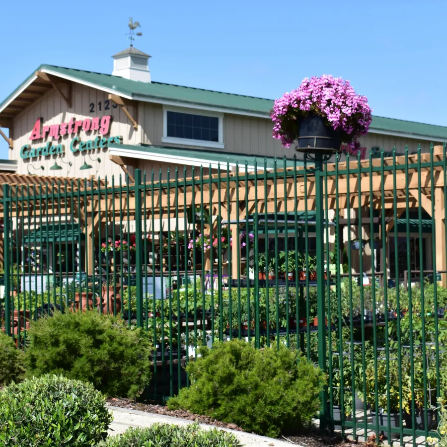 Armstrong Garden Centers building with green fence, bushes, and pink flowers under clear blue sky.
