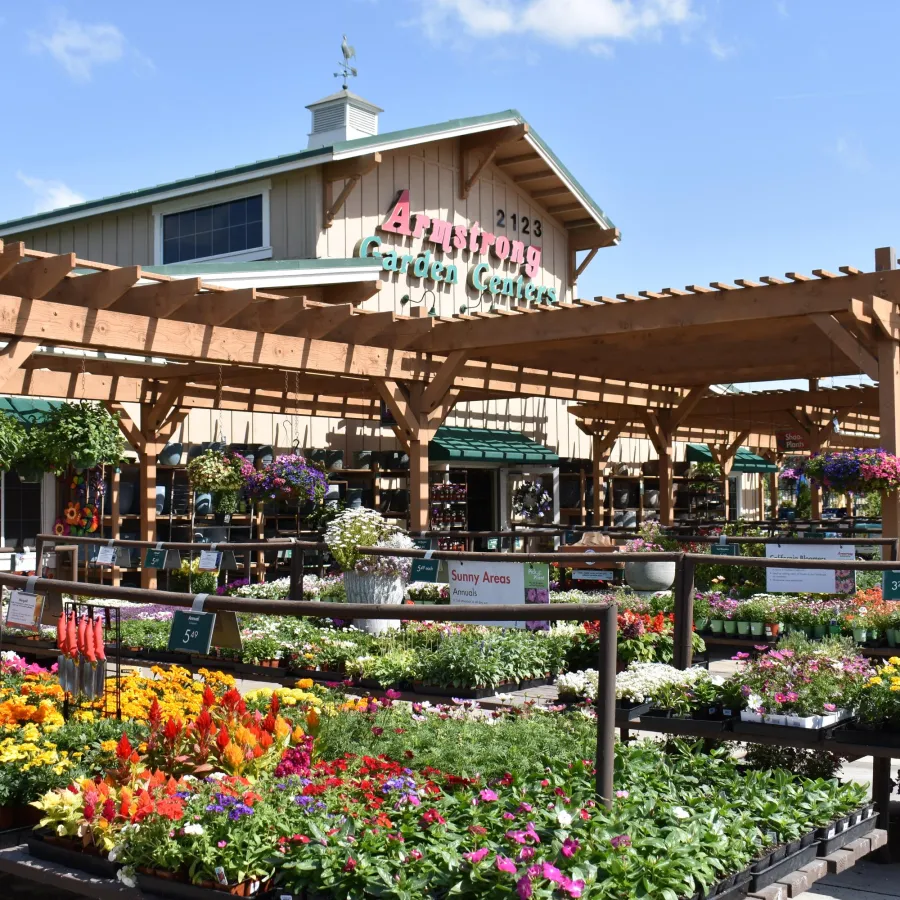 Outdoor garden center with colorful flowers under wooden pergolas and a large store building in the background.