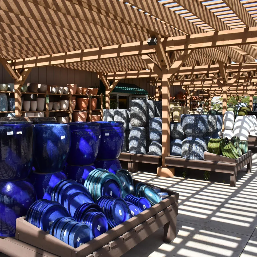 Outdoor plant nursery display under wooden pergola with various blue ceramic pots and planters in sunlight.