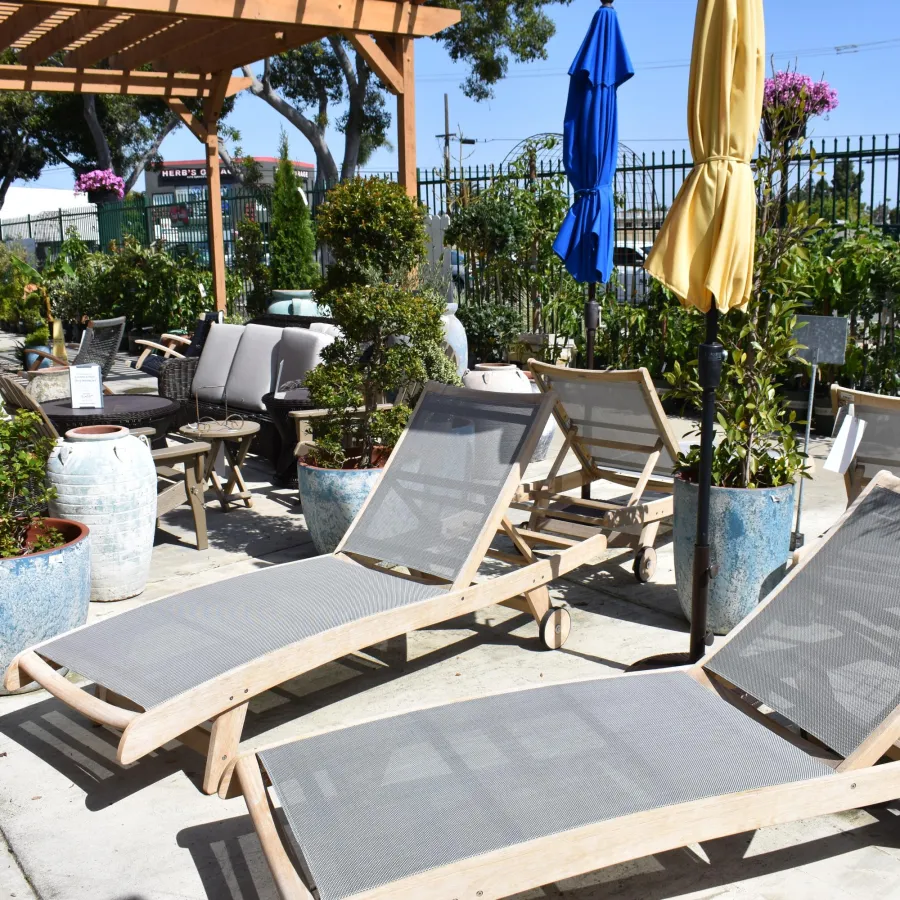 Outdoor patio area with wooden lounge chairs, potted plants, umbrellas, and seating under a pergola on a sunny day.