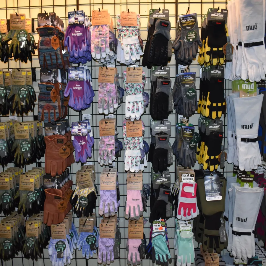 Display of various work gloves and gardening gloves in multiple colors and styles hanging on a retail wall.