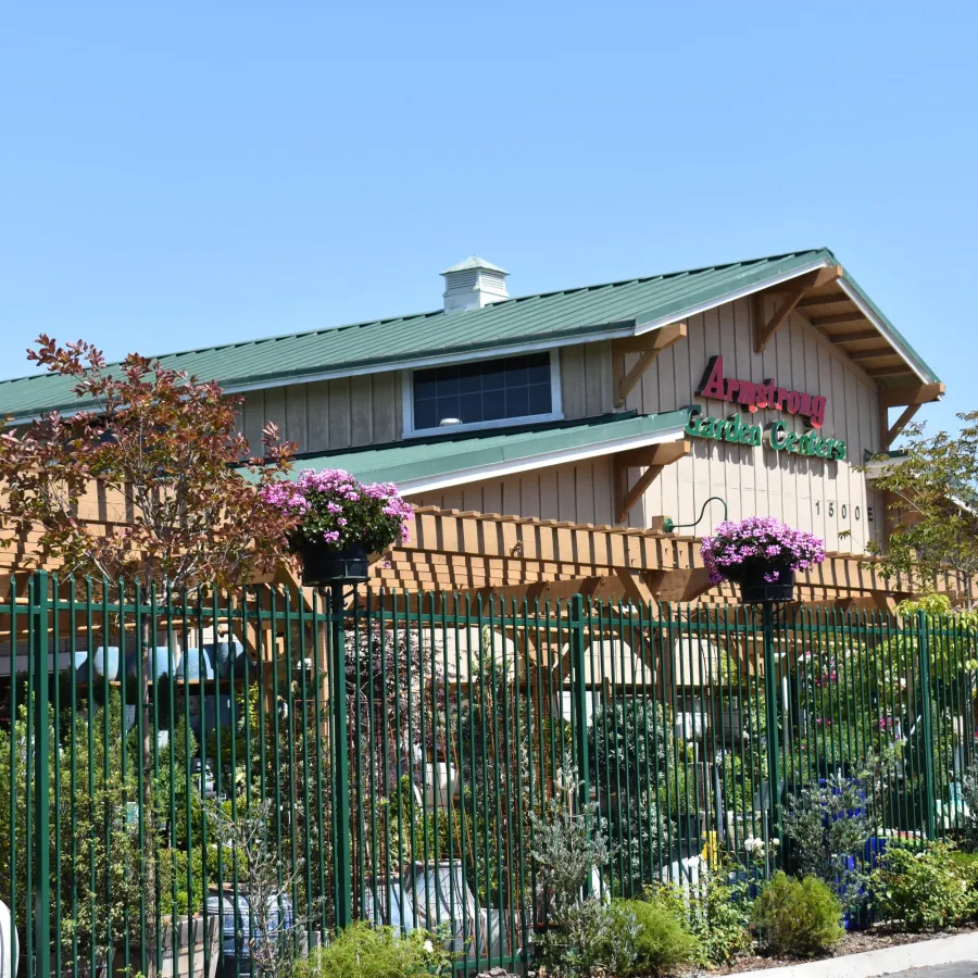 Exterior view of a garden center with a green metal roof, wooden pergola, and green fence under a clear blue sky