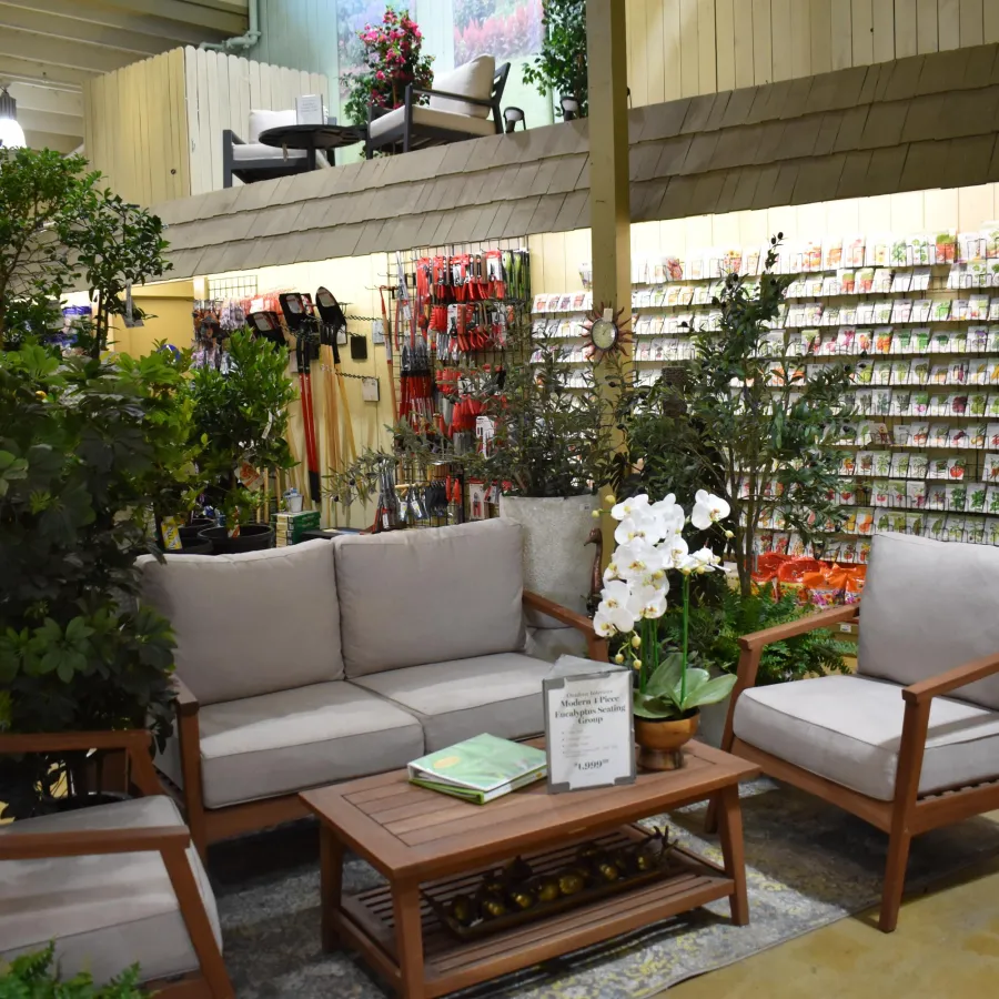 Cozy indoor garden store seating area with wooden furniture, plants, and seed packets displayed on the wall.