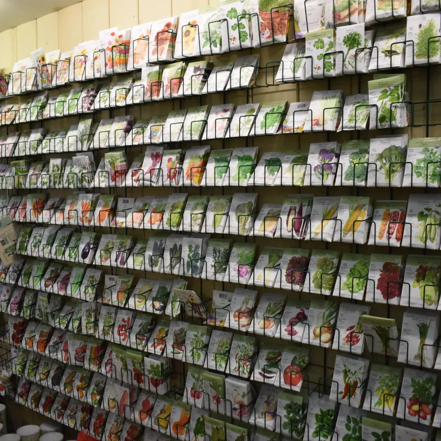 Rows of seed packets displayed on wall racks in a garden supply store, showcasing various vegetables and herbs.