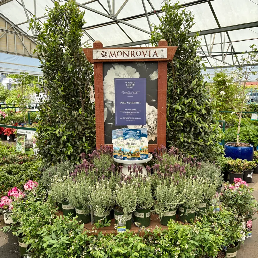 Monrovia plant display with various potted greenery and flowers inside a greenhouse nursery.