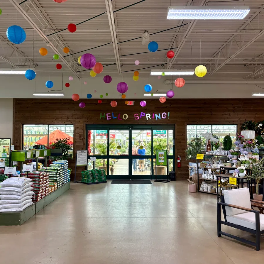 Garden center entrance decorated with colorful hanging lanterns and a Hello Spring banner overhead