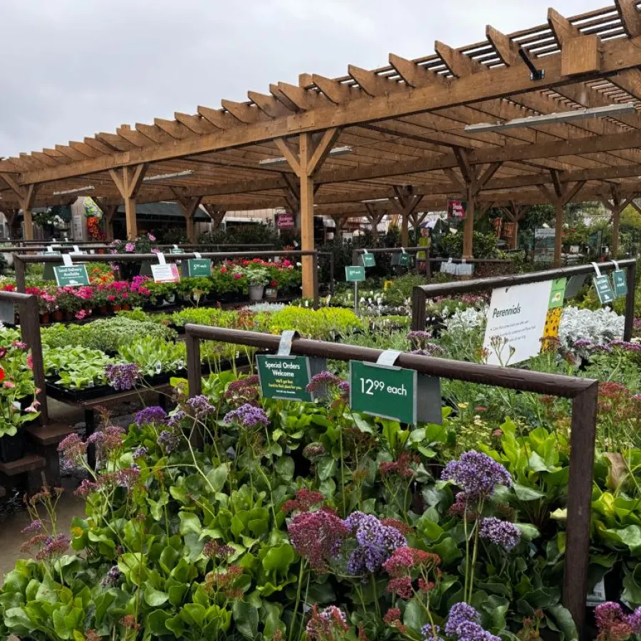 Outdoor garden center with diverse flowering plants and greenery under wooden pergola structures on a cloudy day