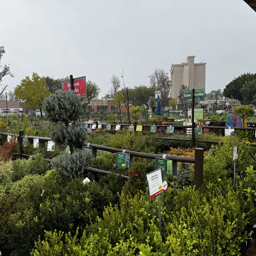 Outdoor garden center with various shrubs and plants displayed in rows with informational signs on a cloudy day