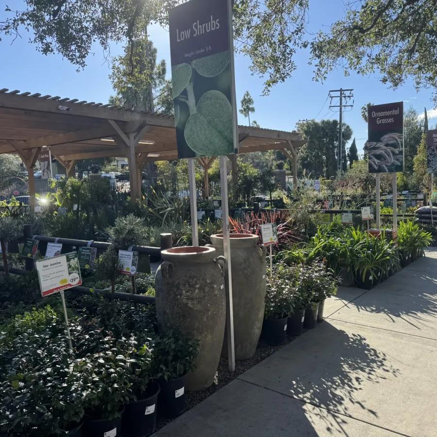 Outdoor garden center aisle with various potted plants under bright sunlight and labeled plant categories.