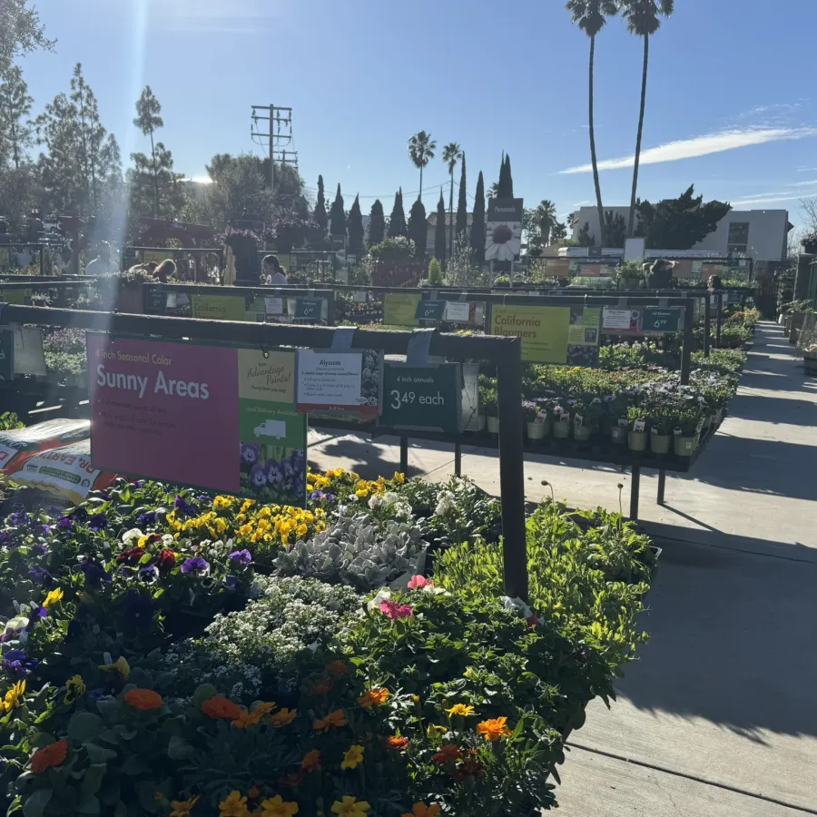 Sunny outdoor garden center with colorful flowers and plants displayed on tables under clear blue sky.