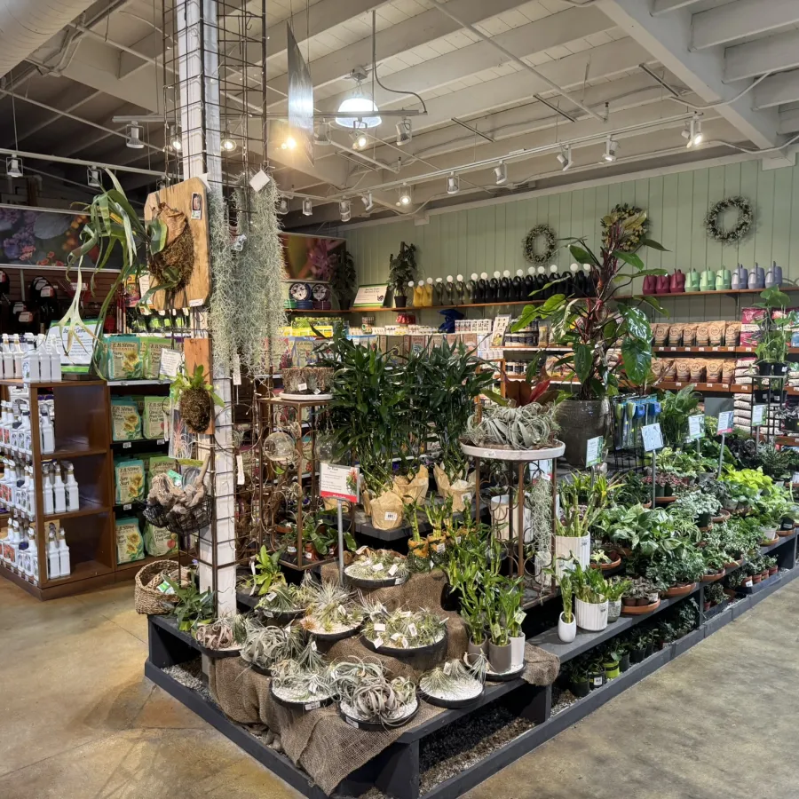 Indoor garden store display with various potted plants, hanging moss, gardening supplies, and plant care products
