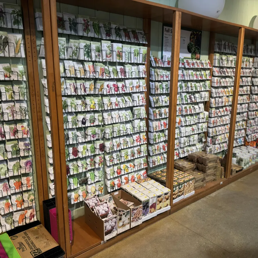 Shelves filled with organized seed packets for flowers, vegetables, and herbs in a gardening store display.