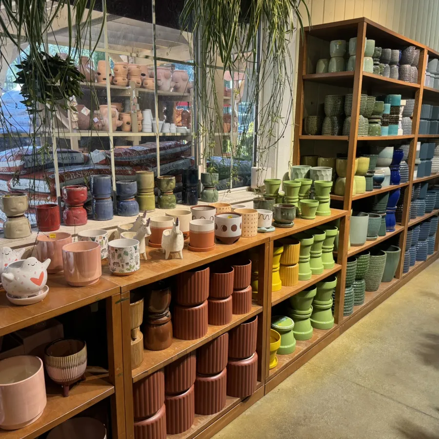 Colorful ceramic pots and planters organized on wooden shelves in a bright garden store interior.