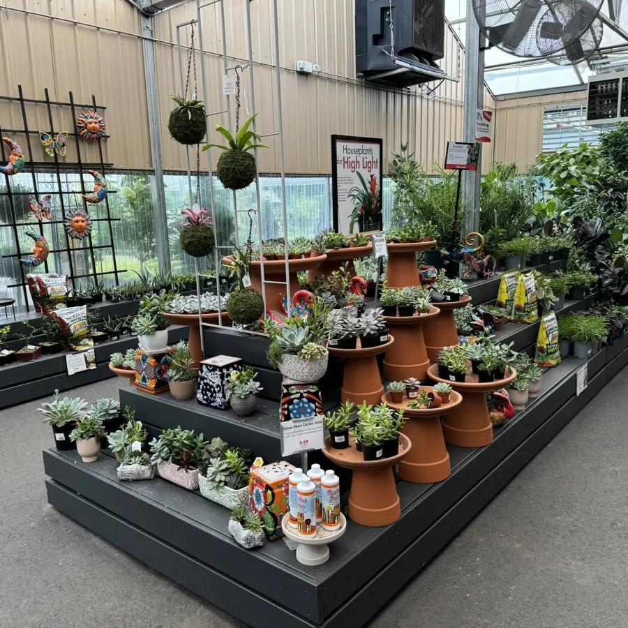 Indoor garden center display featuring succulents, terracotta pots, hanging plants, and decorative garden items.