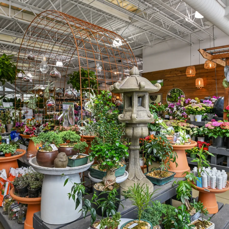 Indoor garden center displaying assorted potted plants, flowers, and gardening supplies under a high ceiling.