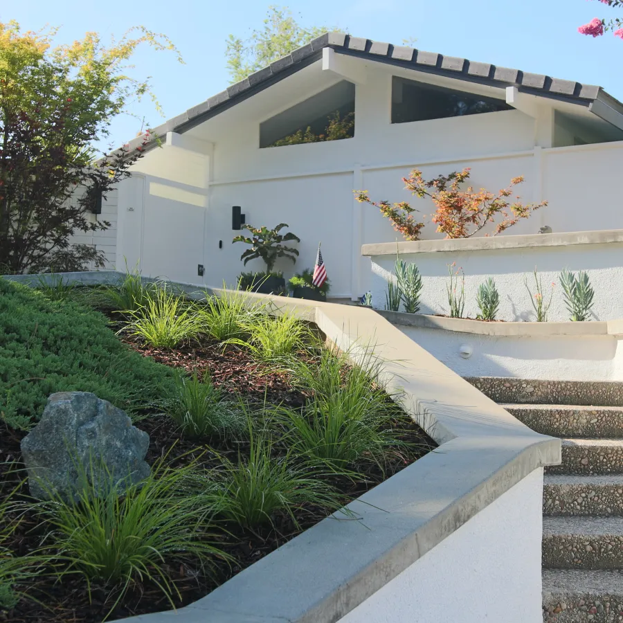 Modern white home with concrete steps and landscaped garden featuring green shrubs and small trees