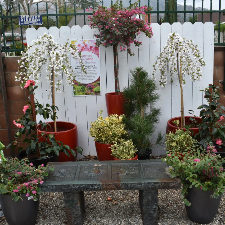 Garden display with blooming white and pink flowers, green plants, red pots, gravel ground, and planting mix bags.