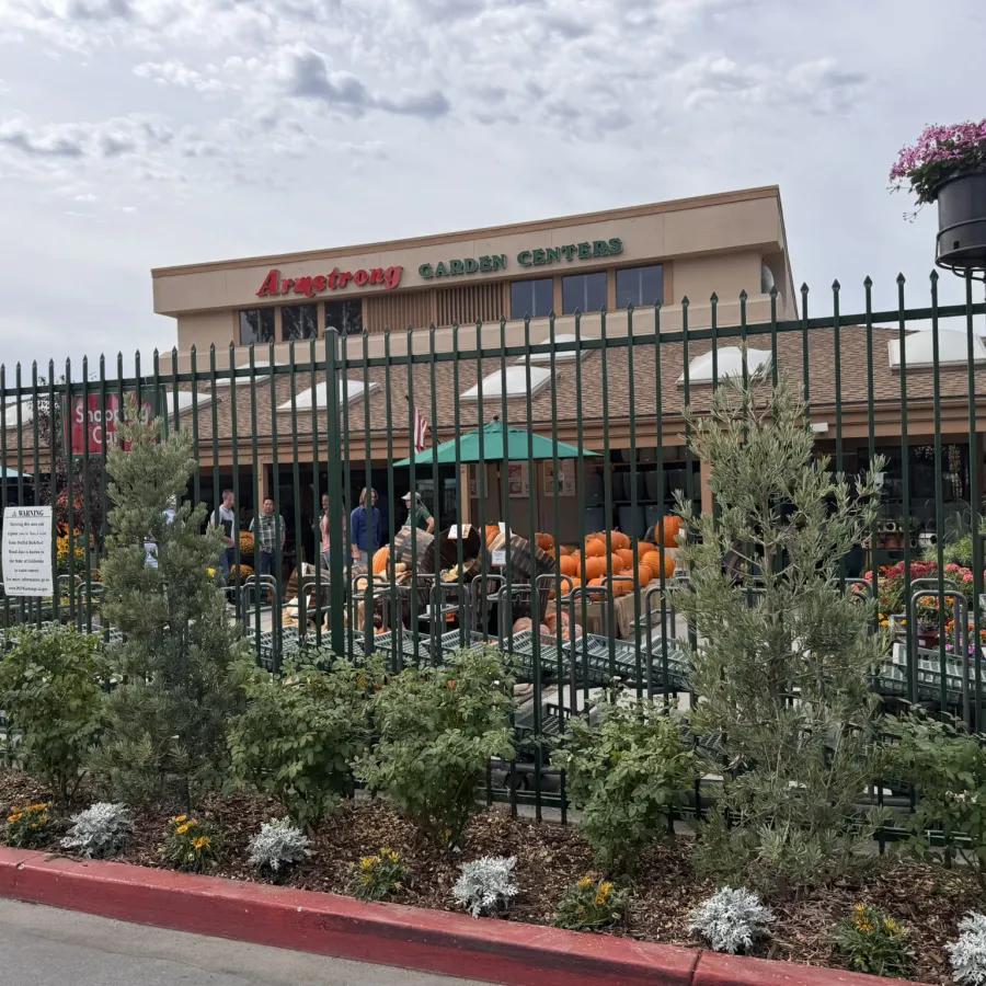 Arroyo Garden Center entrance with plants, pumpkins, and customers behind a metal fence under cloudy sky