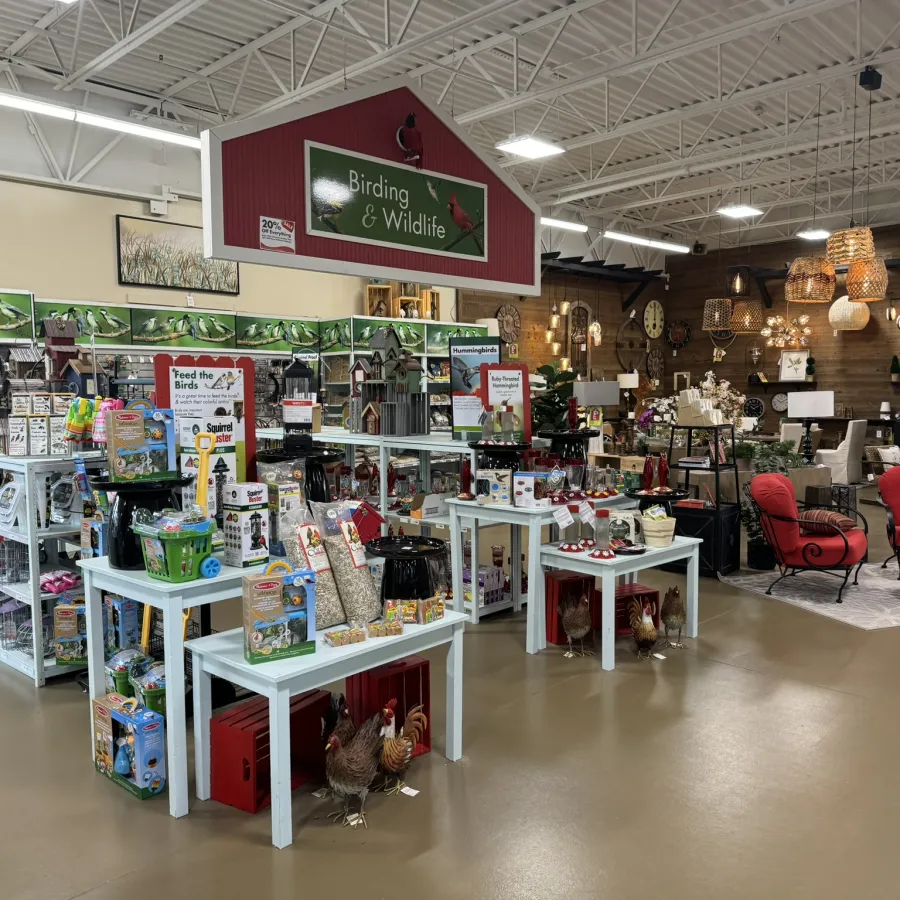 Indoor birding and wildlife section of a store with feeders, seeds, decorations, and outdoor furniture displays.