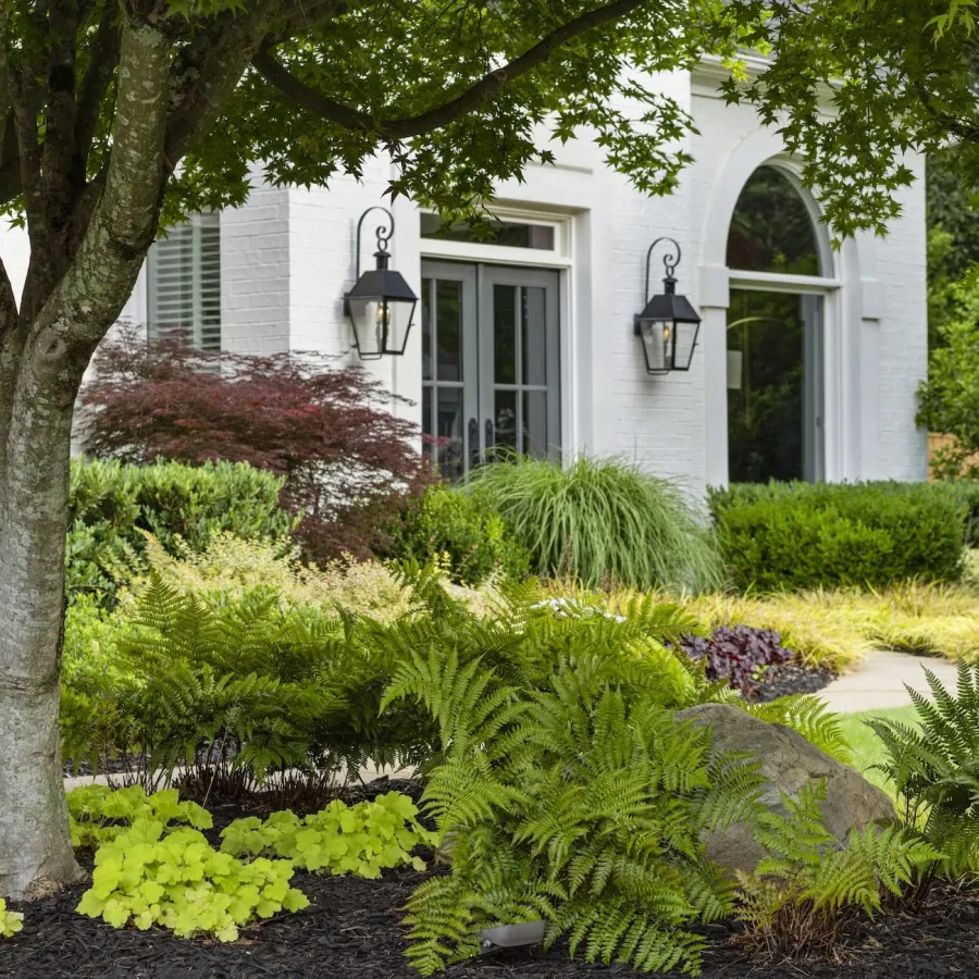 Lush green garden with various plants and a tree in front of a white house with black lanterns.