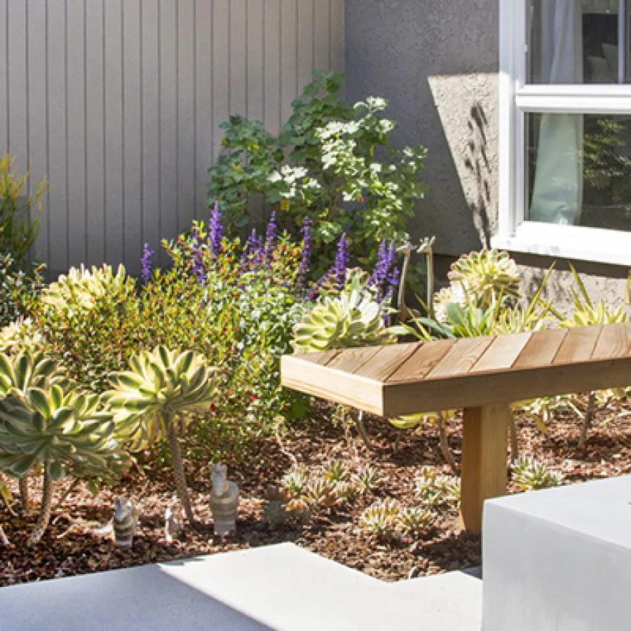 Modern backyard garden with succulents, wooden bench, concrete fire pit, and stone pathway under bright sunlight.