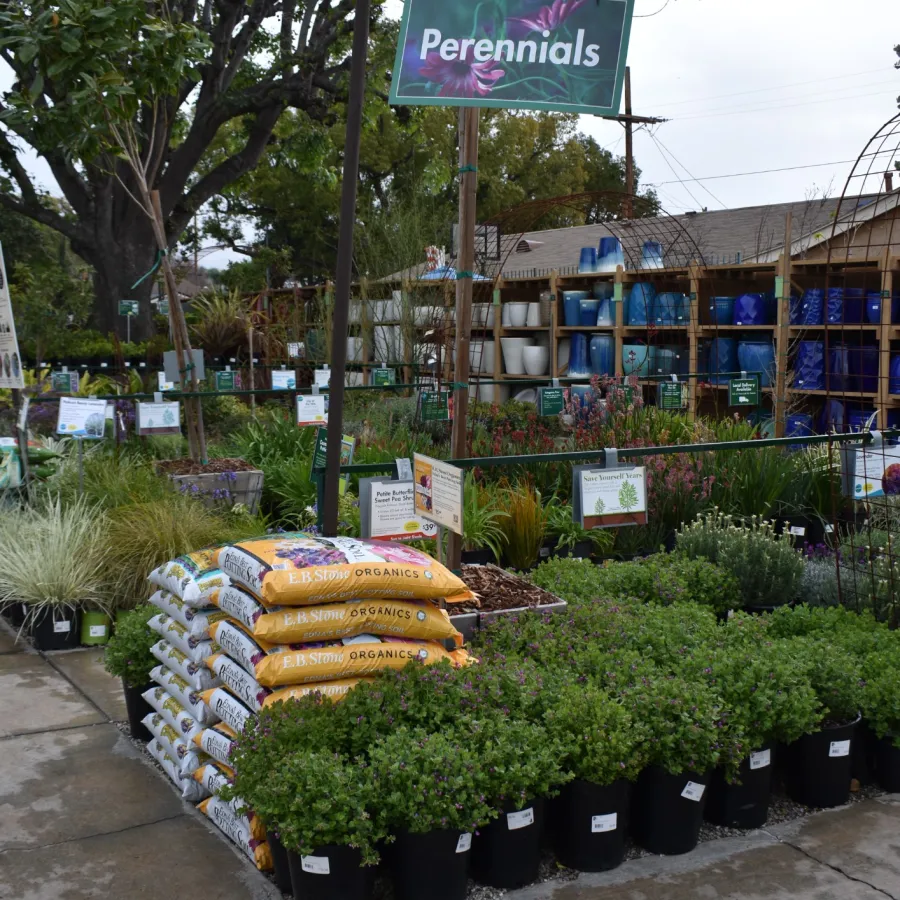 Outdoor garden center display with perennial plants, soil bags, and gardening supplies under a Perennials sign.