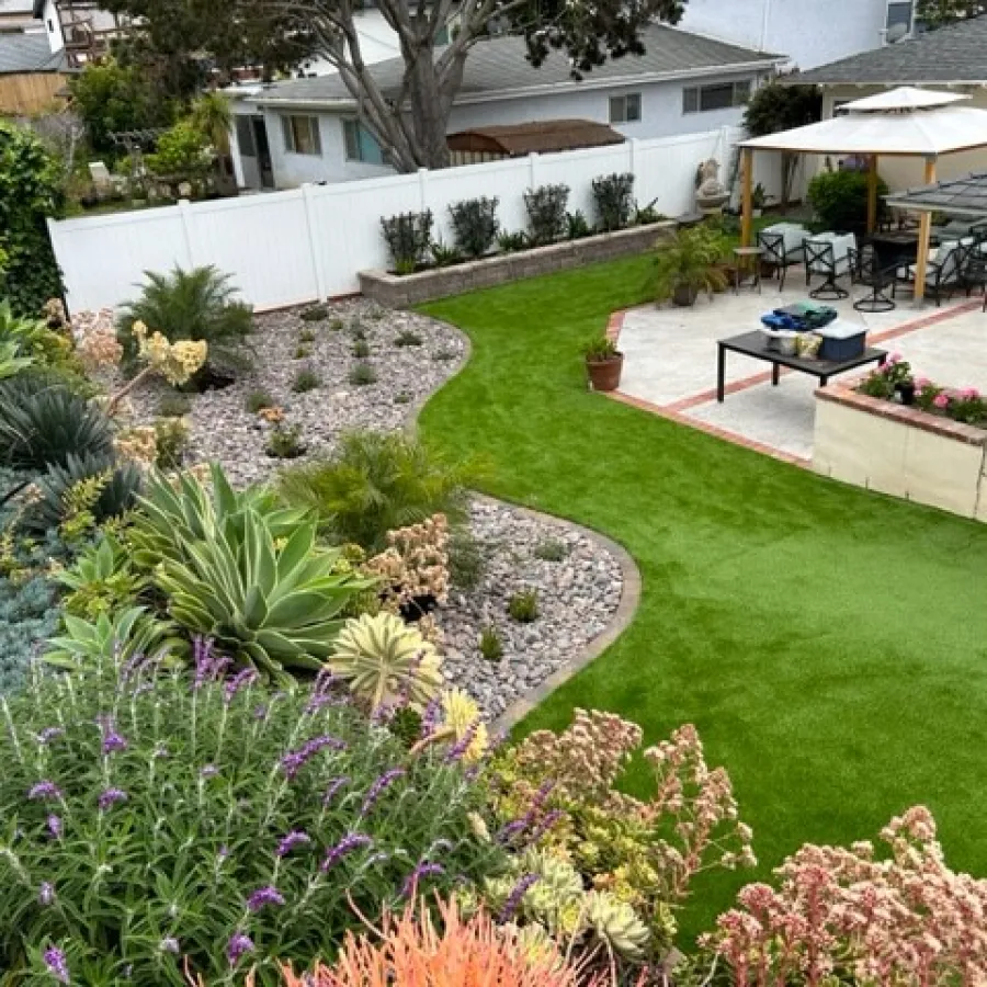 Backyard garden with green lawn, patio area with umbrella, diverse succulents, and rock landscaping under trees.
