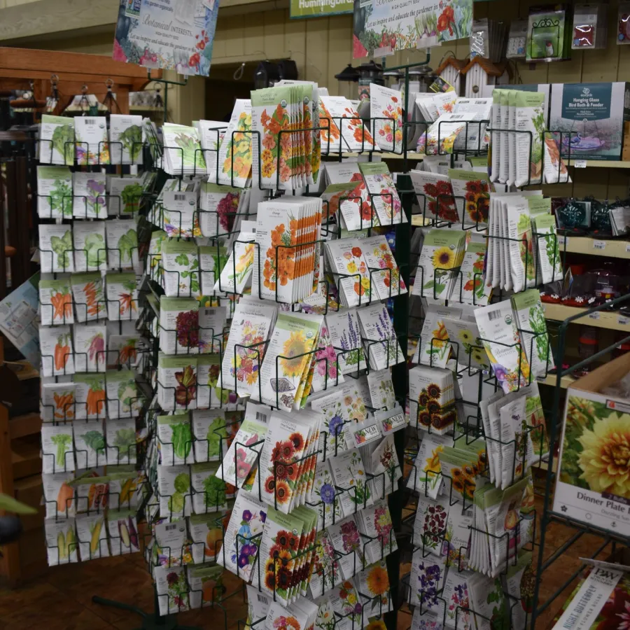 Display of assorted colorful flower and vegetable seed packets arranged on racks in a garden store