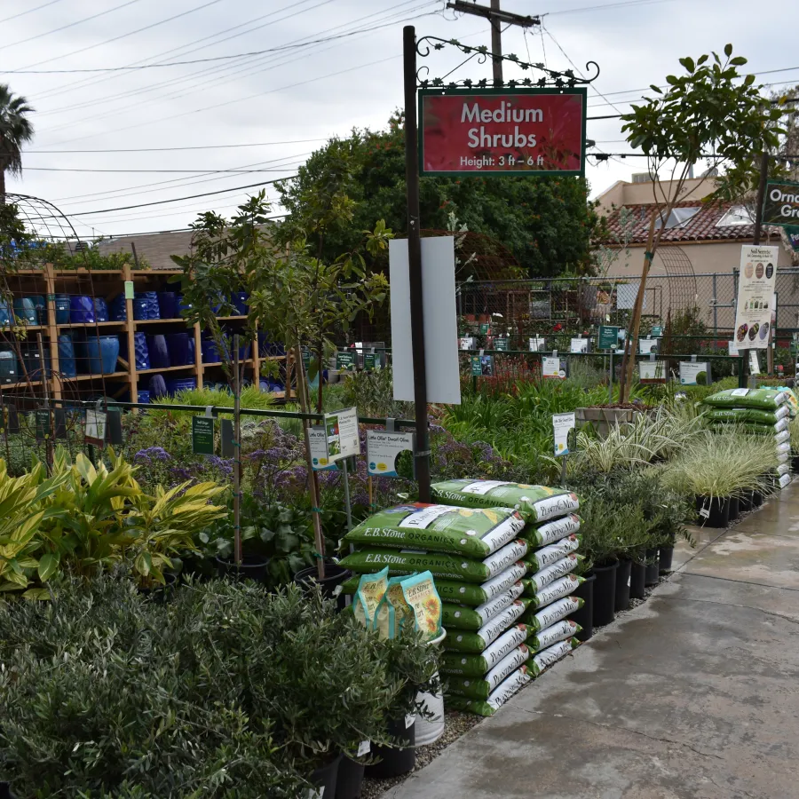 Outdoor nursery section with medium shrubs and ornamental grasses for sale alongside gardening supplies and pots.