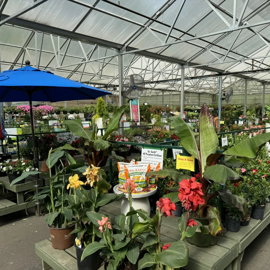 Indoor garden center with a variety of potted plants, flowers, gardening supplies, and a large blue umbrella.