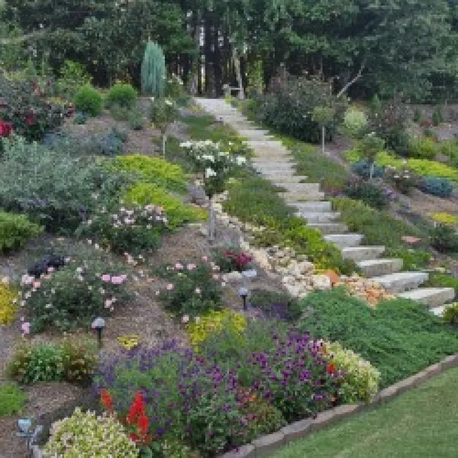 Terraced garden with stone steps, colorful flowering plants, and manicured lawn on a sunny day.