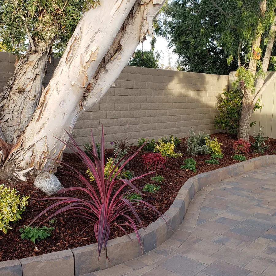 Curved garden bed with trees, shrubs, colorful plants, and a paved patio area under natural daylight.