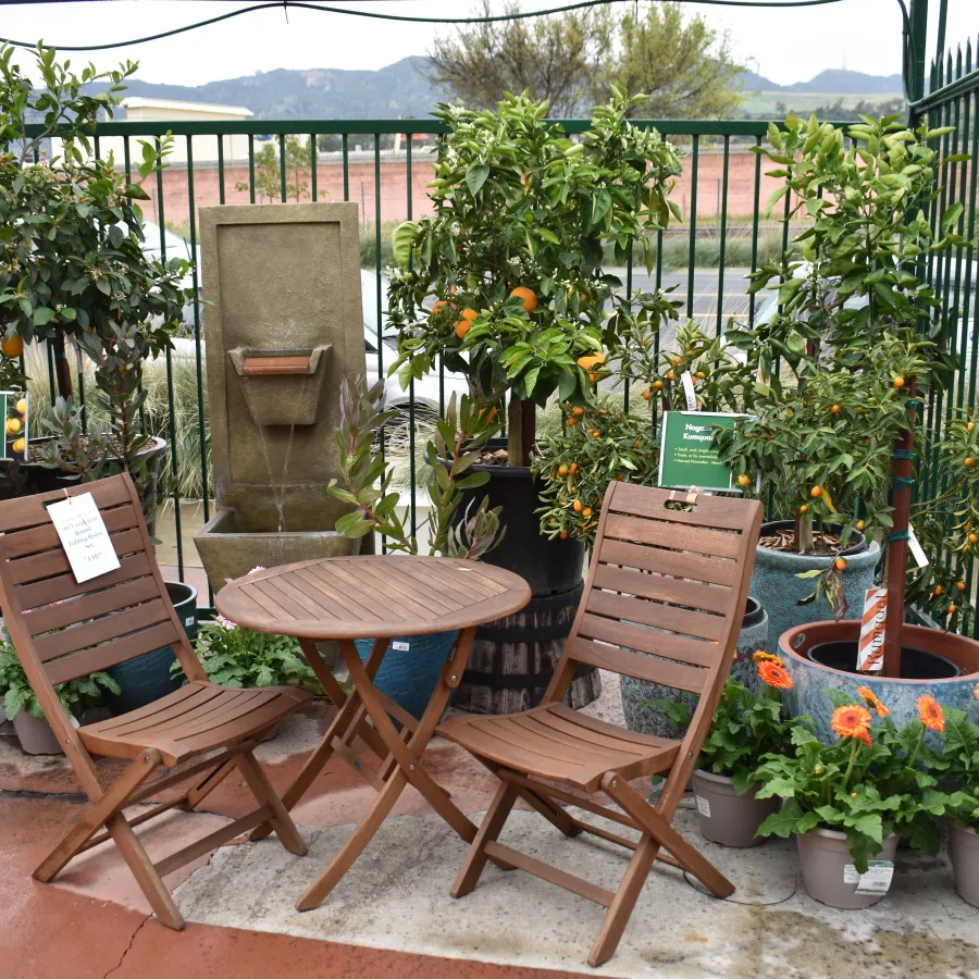 Wooden table and chairs set surrounded by potted citrus trees and vibrant orange flowers on patio.