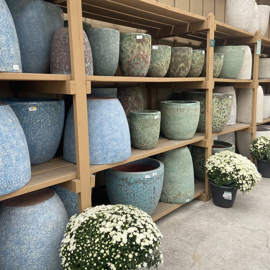 Shelves of large blue and green ceramic pots with potted white flowers underneath on a concrete floor