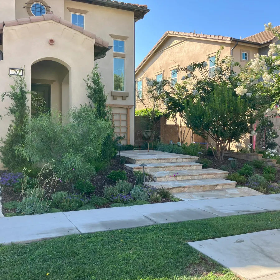 Modern beige stucco house with stone steps, lush green landscaping, and clear blue sky in suburban neighborhood.