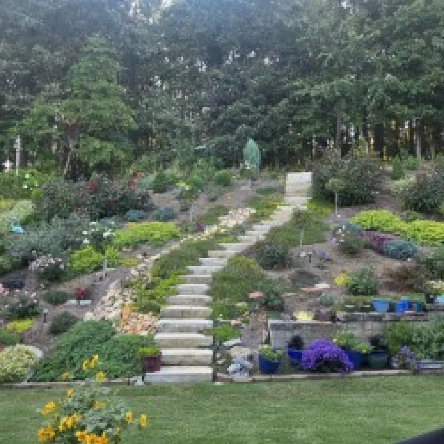 Terraced garden on a hillside with stone stairs leading through colorful flowers and greenery toward a tree line.