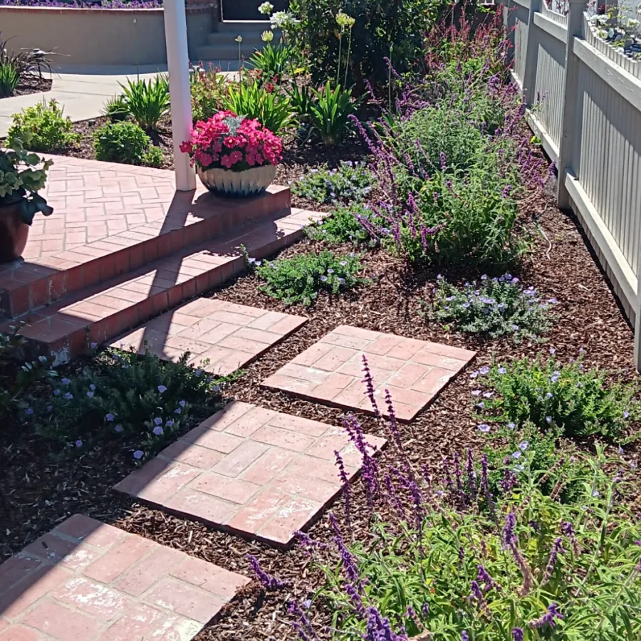 Brick pathway surrounded by purple flowers and mulch leading to house steps with potted pink flowers