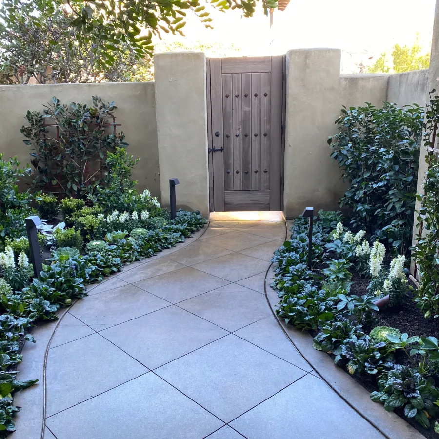Curved stone pathway through lush garden beds leading to a closed wooden gate in a courtyard.