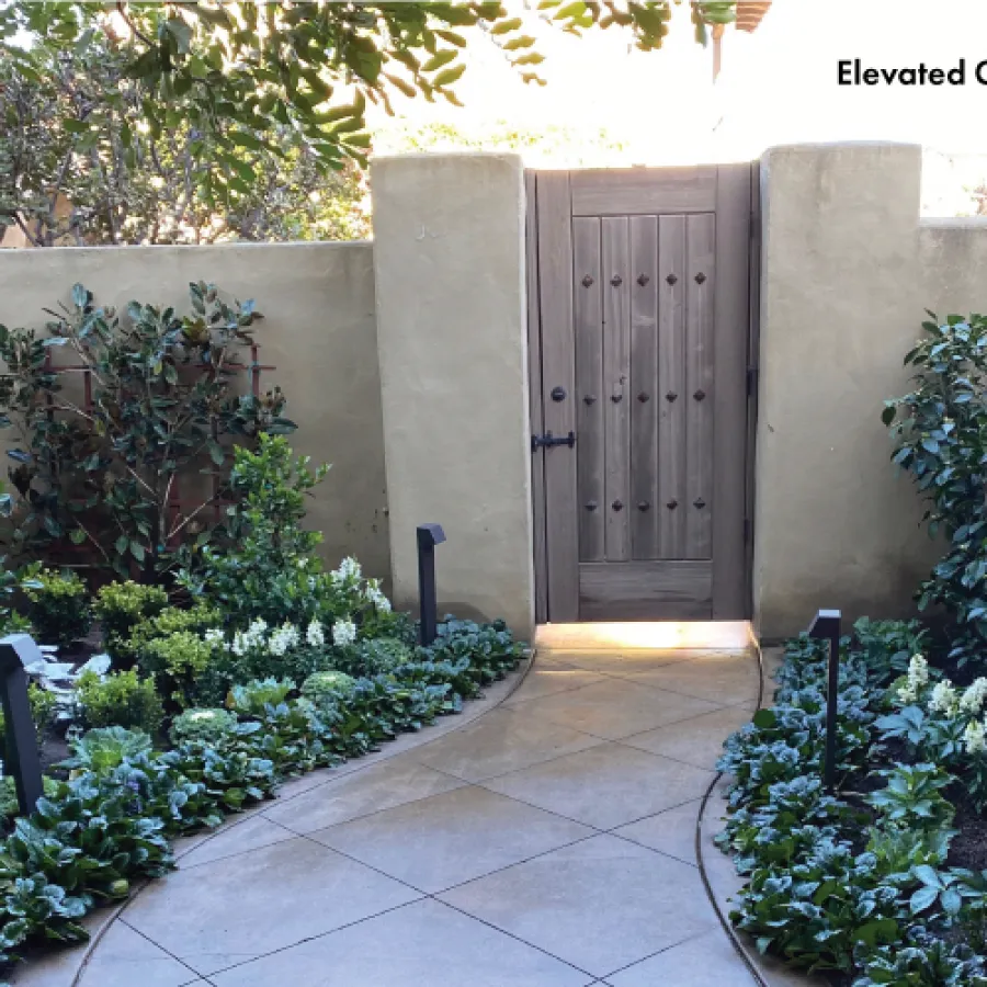 Garden pathway with lush green plants and white flowers leading to a wooden gate set in a stucco wall