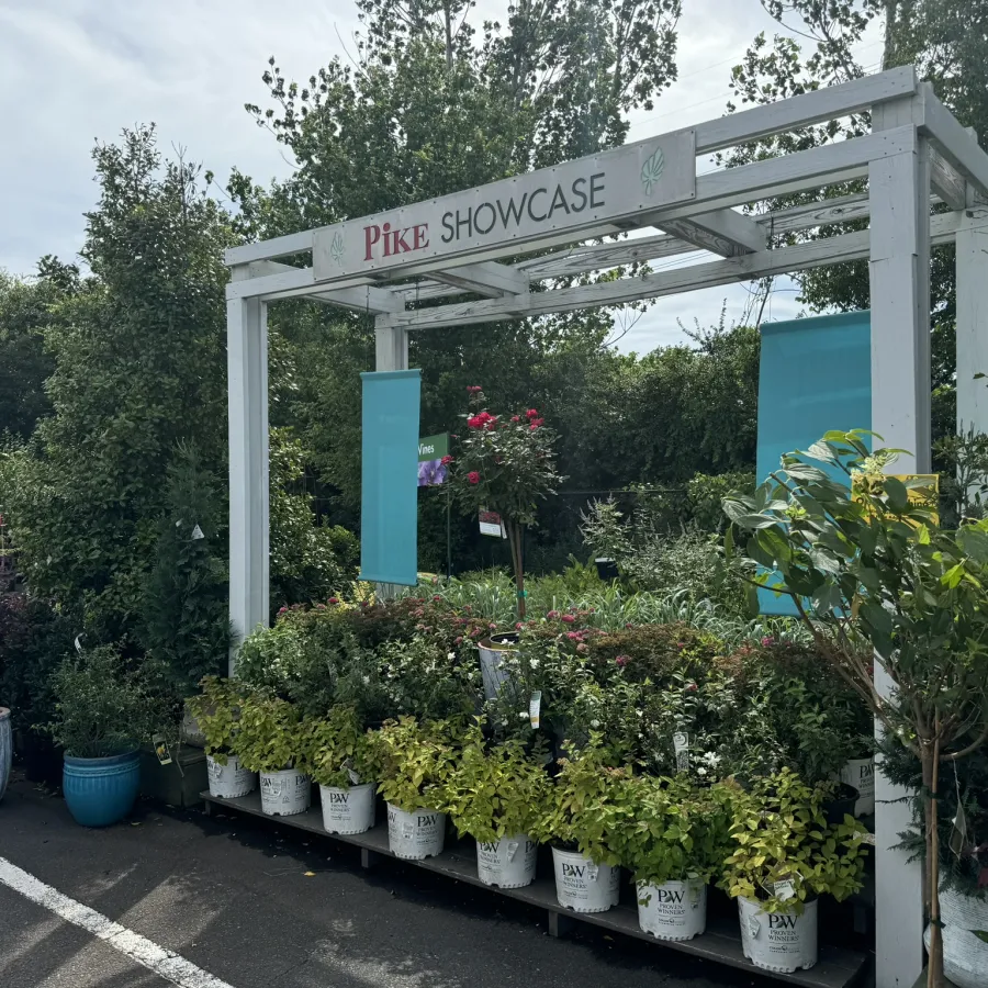 Outdoor garden center display of various potted plants under a white wooden archway labeled Pike Showcase