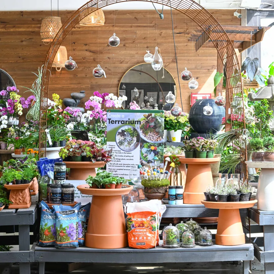 Indoor garden shop display with plants, flowers, terrarium supplies, and decorative pots under wooden arch.