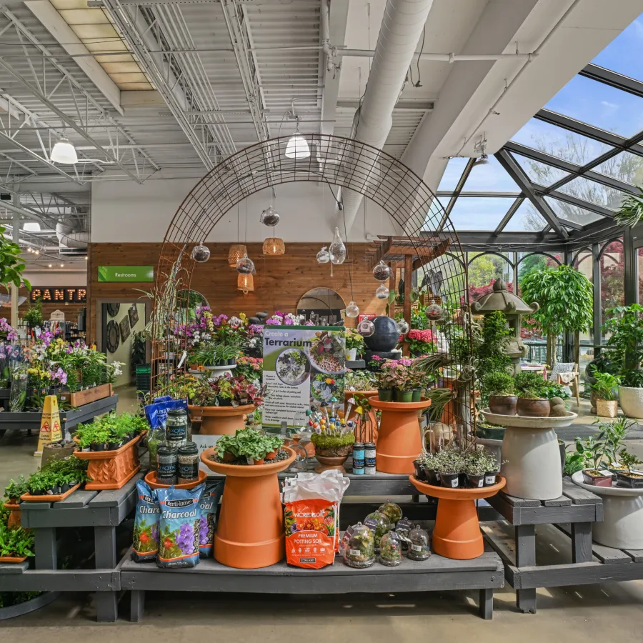 Bright garden center interior with diverse plants, flowers, terrariums, and supplies under natural skylight.