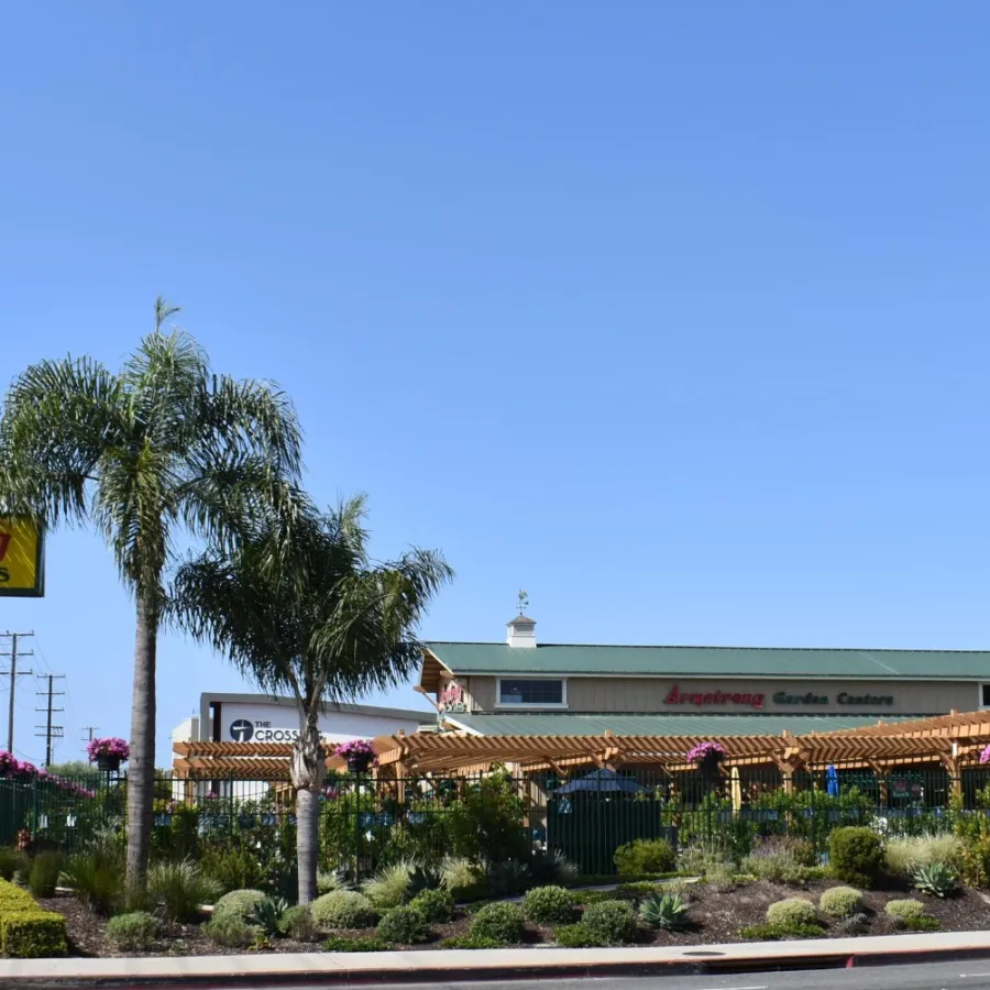 Armstrong Garden Centers storefront with palm trees, pergola, and landscaped garden beds under clear blue sky.