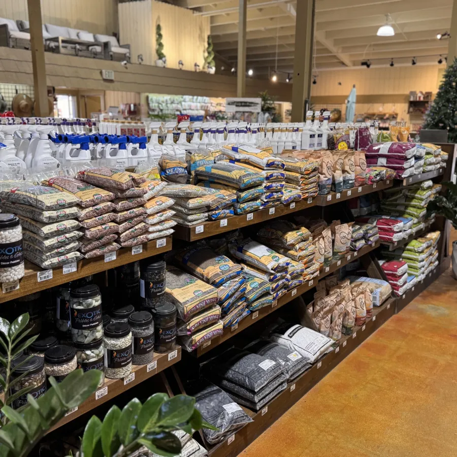 Grocery store aisle with shelves stocked with various packaged dry goods and cleaning supplies under warm lighting.