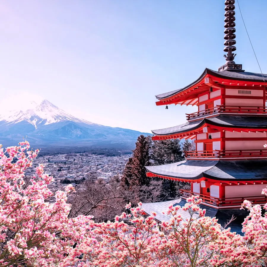 Chureito Pagoda surrounded by pink cherry blossoms with Mount Fuji in the background under clear sky.